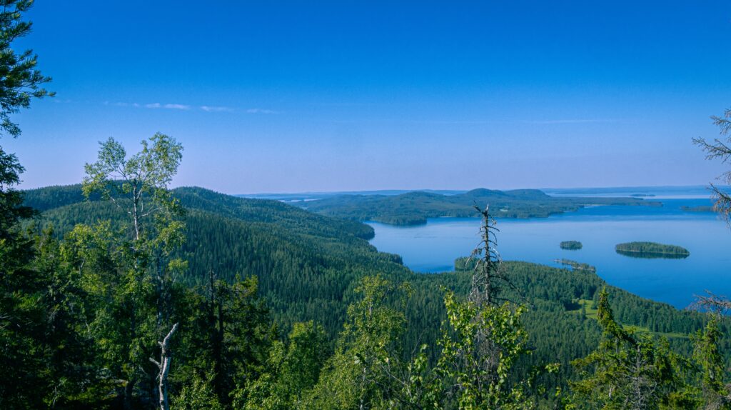 Koli National Park Finland