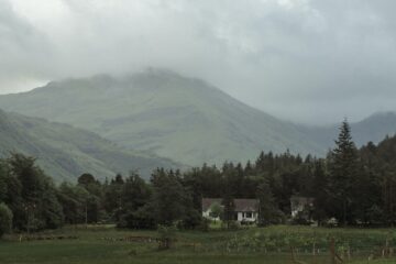 house surrounded by trees under cloudy sky